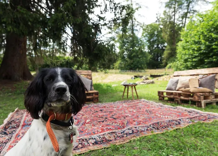 Le Wafo グリオン